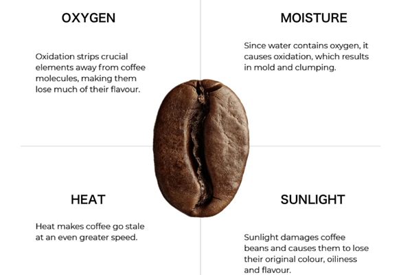 Infographic showing the effects of oxygen, moisture, and light on coffee quality and how packaging helps prevent degradation. Infographic showing the effects of oxygen, moisture, and light on coffee quality and how packaging helps prevent degradation.