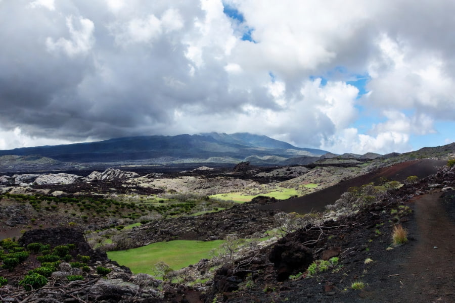 Inside Navarro Coffee and the Rise of Ka‘ū Coffee, Ka‘ū coffee region on the slopes of Mauna Loa