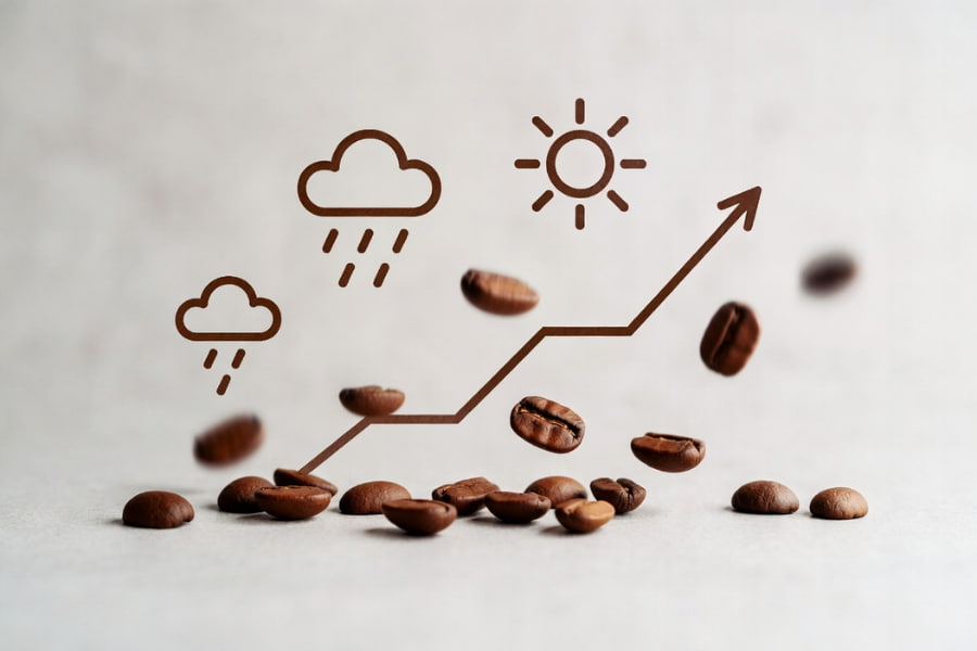 How Rain in Brazil and Vietnam Moves Coffee Prices by shaping market volatility