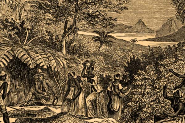 Historic Brazilian coffee production that built global dominance, brewed in Brazil and influencing why the world’s coffee hangs in the balance today