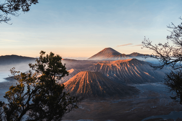 Maui coffee farms growing in volcanic soil with ocean and mountain views