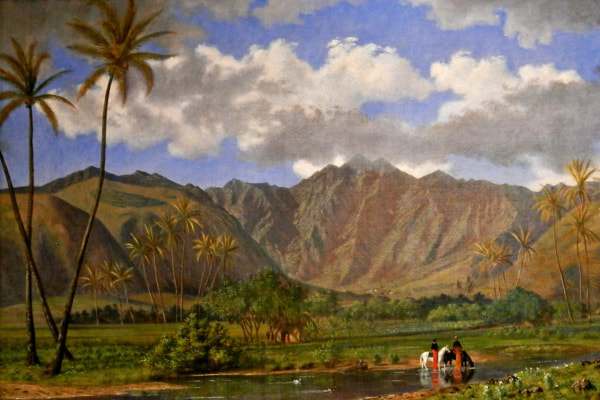 19th century Hawaiian coffee history and its economic and cultural influence