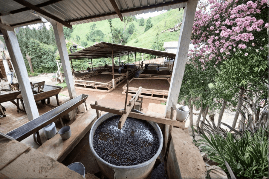 From Harvest to Flavor: The Role of Packaging in Salvadoran Coffee reflected in coffee processing and preparation stages within the Guatemalan coffee supply chain