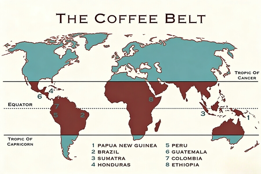 Global coffee culture and the $370B coffee market connecting communities around the globe